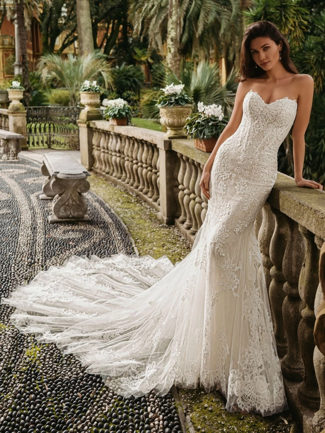 willow 5 Flares Bridal + Formal | WILLOW by Enzoani (cape and choker)